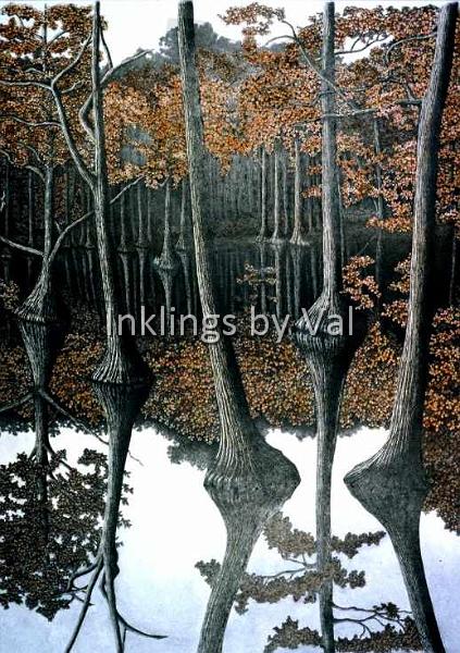 Fall Swamp.jpg - 26in x 20 3/4in matted and framed:$3,000USD : \This fall swamp image was a huge challenge. I had never tried to do water reflections, because I assumed that pen and ink was not the right medium. Since the water was so still and glass-like, the reflected images showed a lot of detail. When I nearly finished the work, I was not satisfied with its three dimensionality. My son, the engineer, was home from college offered the solution. He suggested that I drop in some blue watercolor in the foreground. Suddenly the water laid down flat and the trees stood up! Thanks son...